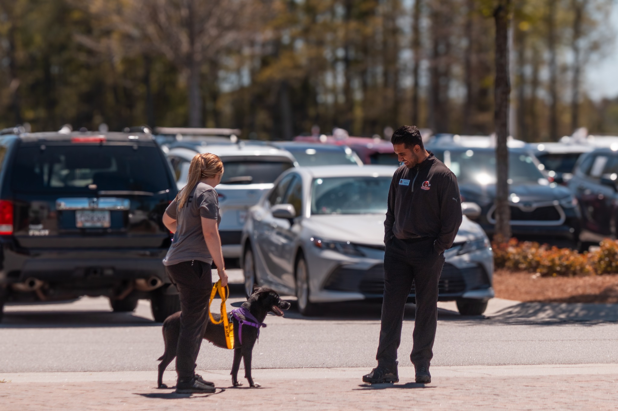 Forsyth County Animal Shelter - Pet Adoption Day (2nd Saturday of Each Month) thumbnail